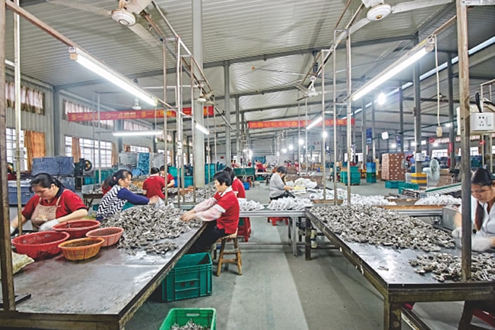 Packing Workshop